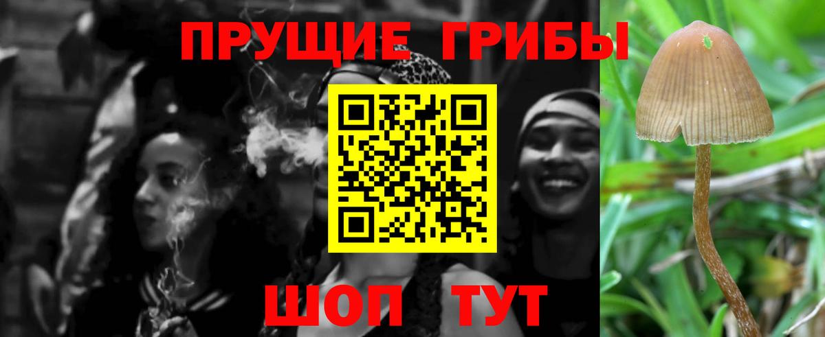 Псилоцибиновые грибы Magic Shrooms Рубцовск
